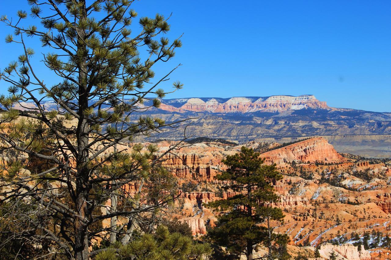טרופיק Bryce Valley Lodging מראה חיצוני תמונה